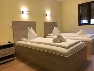 Отель Hotel Larissa Тимишоара Двухместный номер Делюкс с 2 отдельными кроватями-1